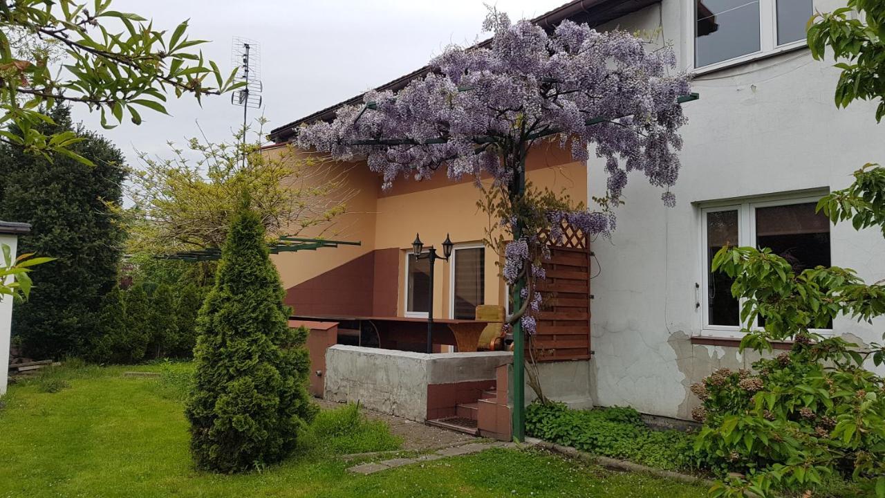 Noclegi Silesia Aster Tychy Buitenkant foto